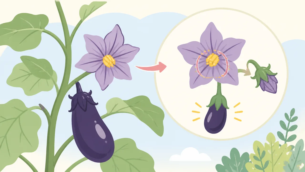 ナスの花が落ちる原因は？実がつかないときの対策を解説